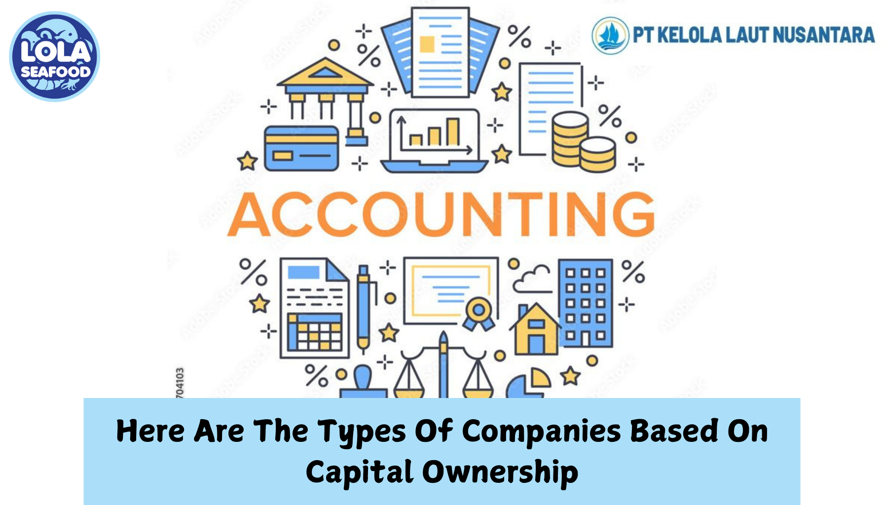 Here Are The Types Of Companies Based On Capital Ownership